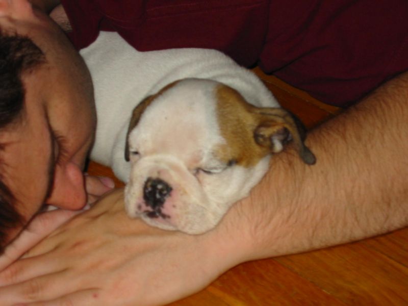 Tuffy'sFirstNightHome008