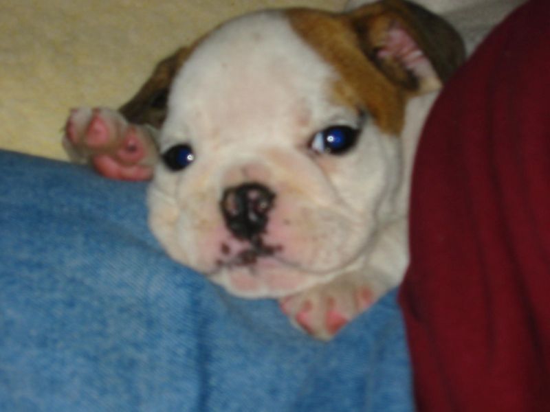 Tuffy'sFirstNightHome009