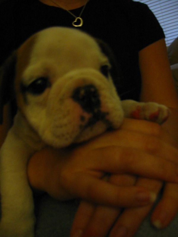 Tuffy'sFirstNightHome010