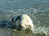 20090213_246.JPG