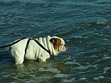20090213_253.JPG