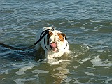 20090213_256.JPG