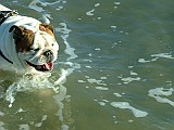 20090213_263.JPG