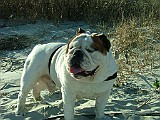 20090213_295.JPG
