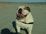 20090213_341.JPG