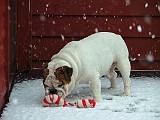 20090301_133818__01.JPG