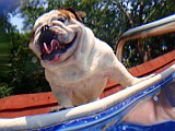 20090627_16.JPG
