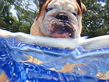 20090627_18.JPG