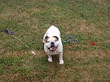 20090705_100.JPG