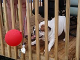 20090705_96.JPG