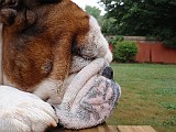 20090710_021.JPG