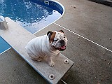 20090710_068.JPG