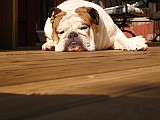 20090711_103549__01.JPG