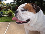 20090719_171801_.JPG