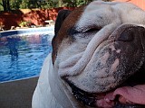 20091020_035752_.JPG