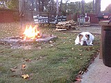 20091103_195042_.jpg