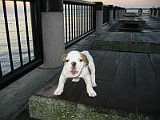 ChasTrip10-25-03 045.jpg