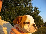 ChasTrip10-25-03 080.jpg
