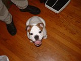 DSCF0001.JPG