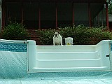 DSCF0024.JPG