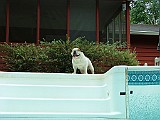 DSCF0027.JPG