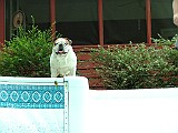 DSCF0028.JPG