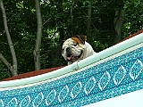 DSCF0029.JPG