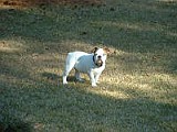 DSCF0080.JPG