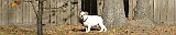 DSCF0086.JPG