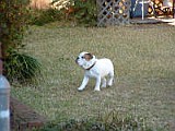 DSCF0090.JPG