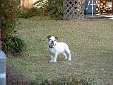 DSCF0092.JPG