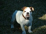 DSCF0097.JPG