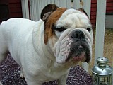 DSCF2243.JPG