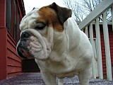 DSCF2245.JPG