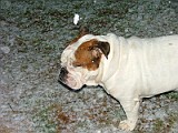 DSCF2252.JPG