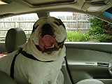 DSCF2285.JPG