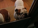 DSCF2968.JPG