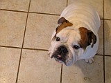 DSCF2997.JPG