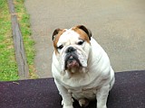 DSCF3043.JPG