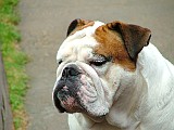 DSCF3044.JPG
