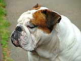 DSCF3045.JPG