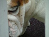 DSCF3059.JPG