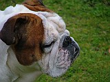 DSCF3069.JPG
