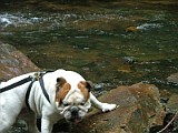 DSCF3123.JPG