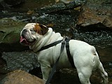 DSCF3124.JPG