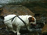 DSCF3125.JPG