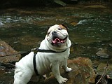 DSCF3126.JPG