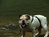 DSCF3132.JPG