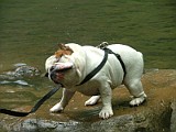 DSCF3133.JPG