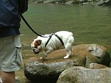 DSCF3134.JPG
